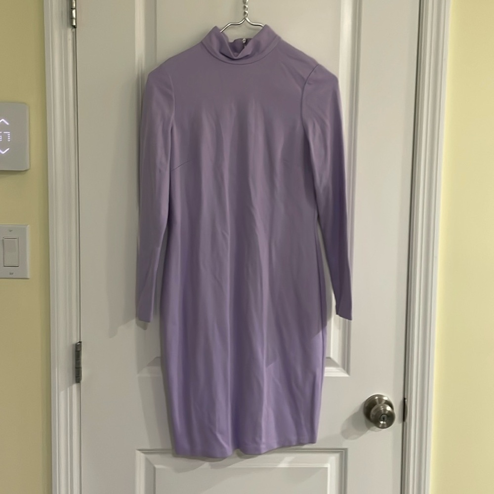 Brand new Bar III long sleeved Dress